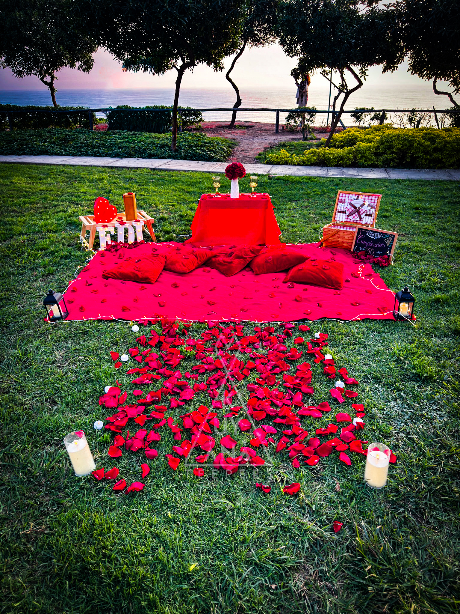 Pedida de Enamorados - Picnic Romance - 3