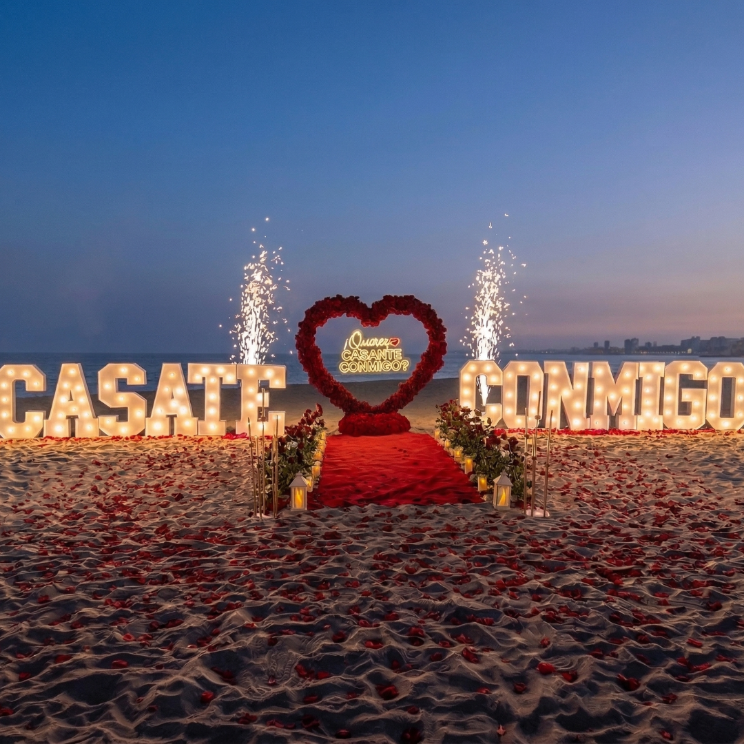 PEDIDA DE MATRIMONIO - THE ROYAL PROPOSAL